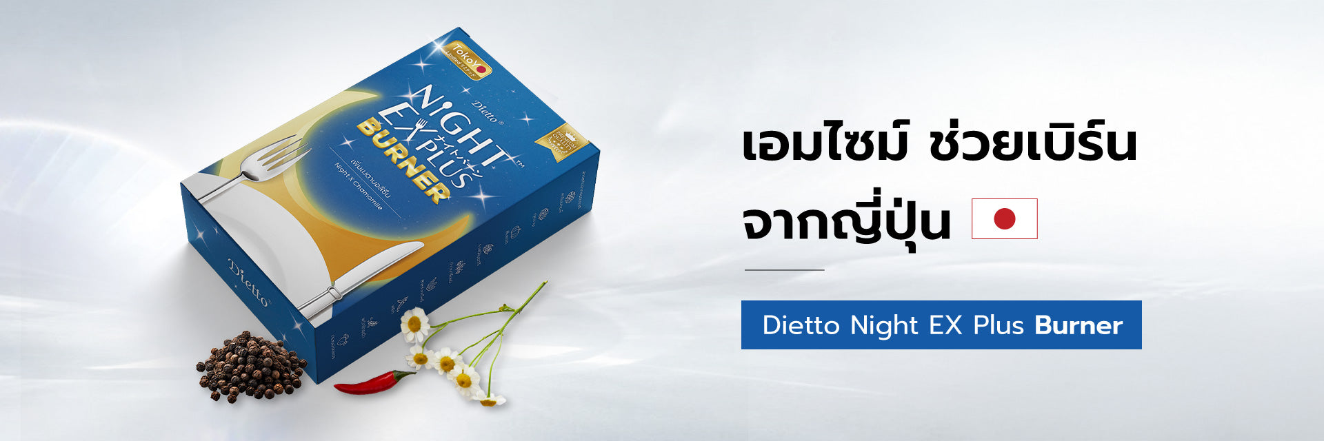 Dietto Night EX Plus Burner