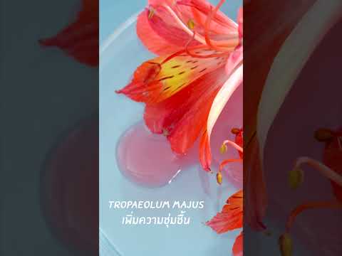 MORI 7mins brightening mask | โมริ มาสก์ 7 นาที สูตรผิวกระจ่างใส | モリ 7分 ブライトニングマスクパック - 3 ชิ้น