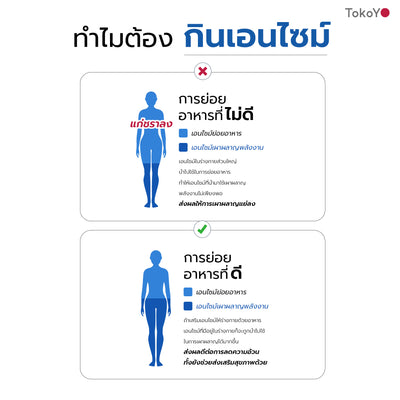 Dietto Night EX Plus Burner | ไนท์ อีเอ็กซ์ พลัส ผลิตภัณฑ์เสริมอาหาร 8 เม็ด