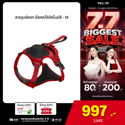 สายจูงรัดอก ยืดหดได้อัตโนมัติ - M | 2in1 Pet Harness with Built-In Leash  - M