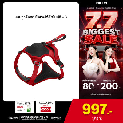 สายจูงรัดอก ยืดหดได้อัตโนมัติ - S | 2in1 Pet Harness with Built-In Leash - S