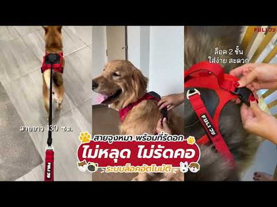 สายจูงรัดอก ยืดหดได้อัตโนมัติ - L | 2in1 Pet Harness with Built-In Leash  - L